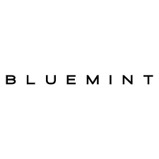 Bluemint Discount Codes 
